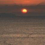 IMG_8364.jpeg